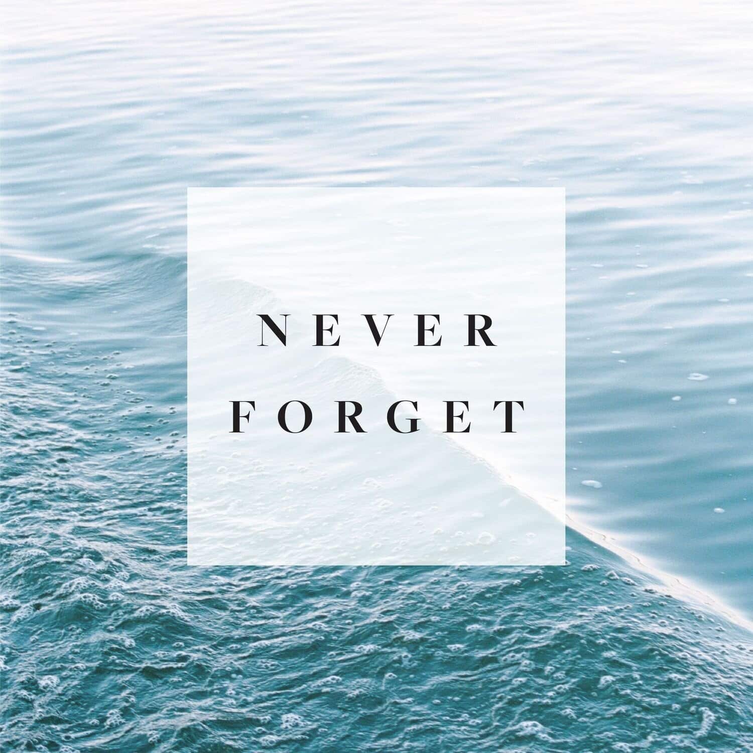 never forget.jpg